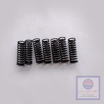 Oil Adjusting spring B2616-372-000