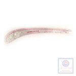 Z-VARY FORM CURVE RULLER -NO 6261